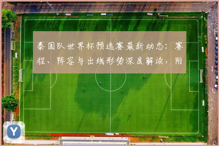 泰国队世界杯预选赛最新动态：赛程、阵容与出线形势深度解读，附球迷观赛攻略